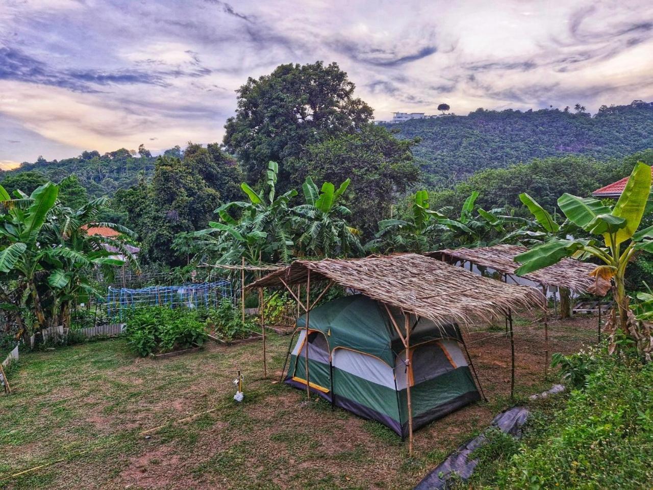 Samui Camping Farm Laem Sor Εξωτερικό φωτογραφία